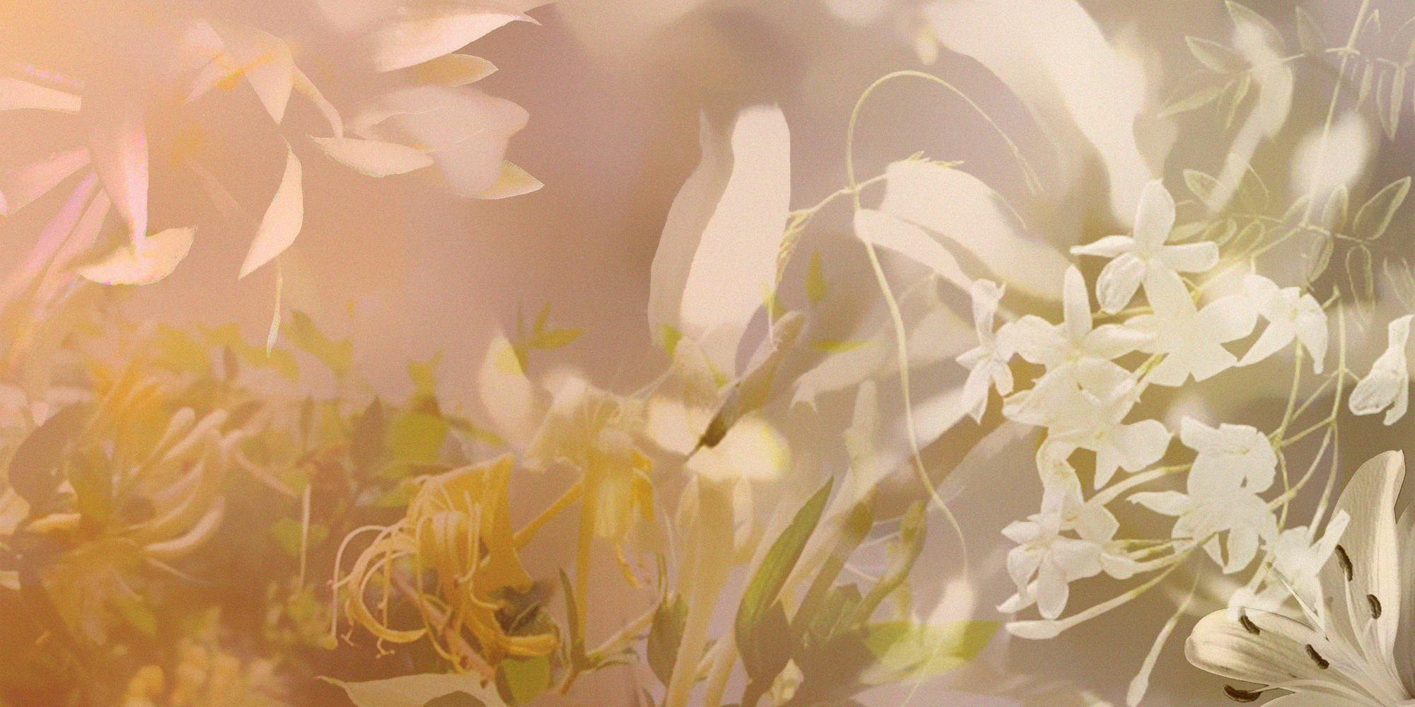 Symrise - 2symrise-visuels-entree-itaartboard-1-copy-6
